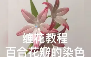 缠花染色 搜索结果 哔哩哔哩弹幕视频网 つロ乾杯 Bilibili