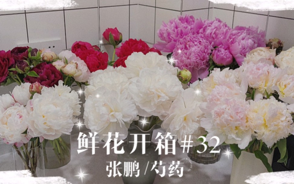 鲜花开箱#32芍药来啦哔哩哔哩bilibili