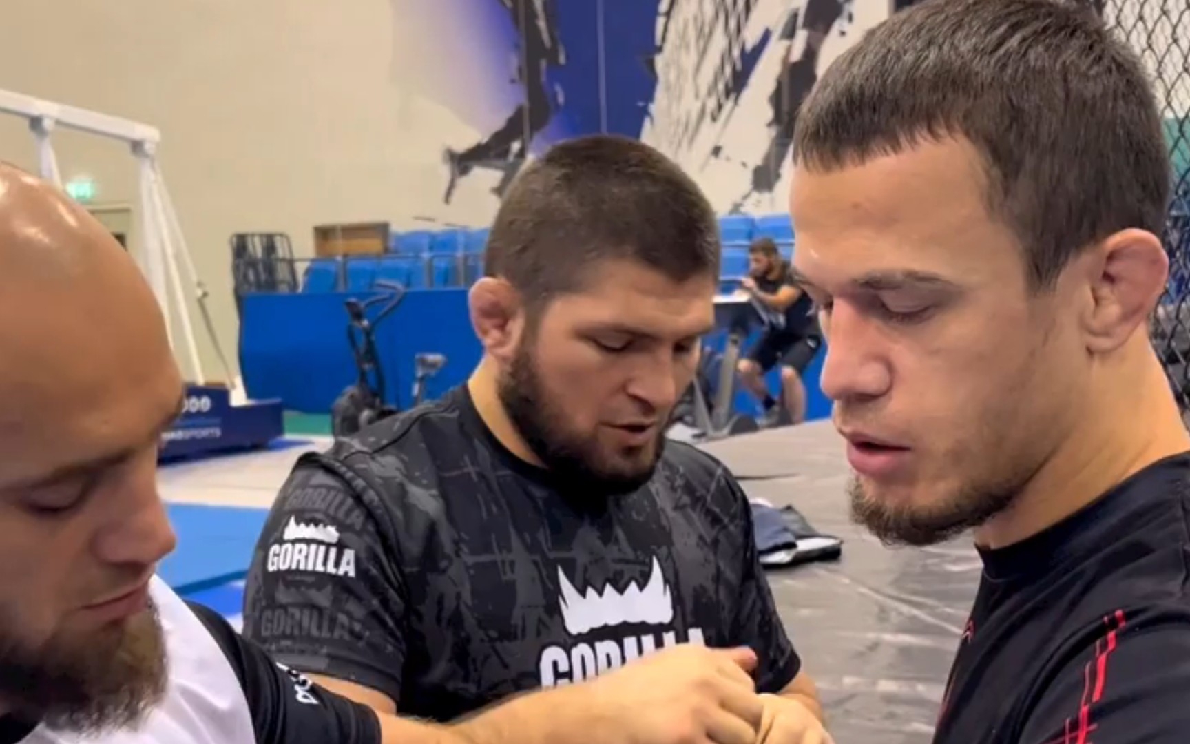 ufc"小鹰"哈比布的生日在帮"雏鹰"乌斯曼·努曼格莫多备赛