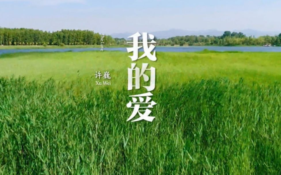 许巍 最新单曲《我的爱》风景如画高品质MV!哔哩哔哩bilibili