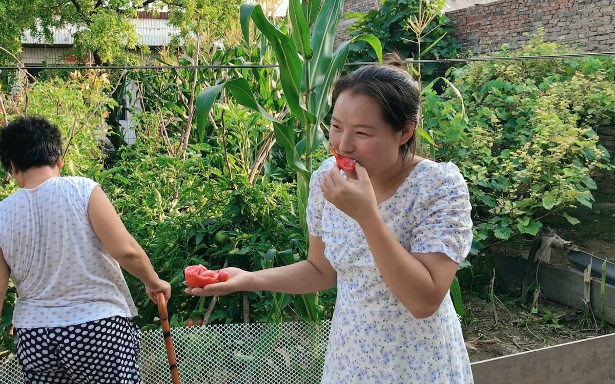 奶奶家菜园子,种满绿色蔬菜,孙媳妇进院就开吃,走时候还拿好多哔哩哔哩bilibili