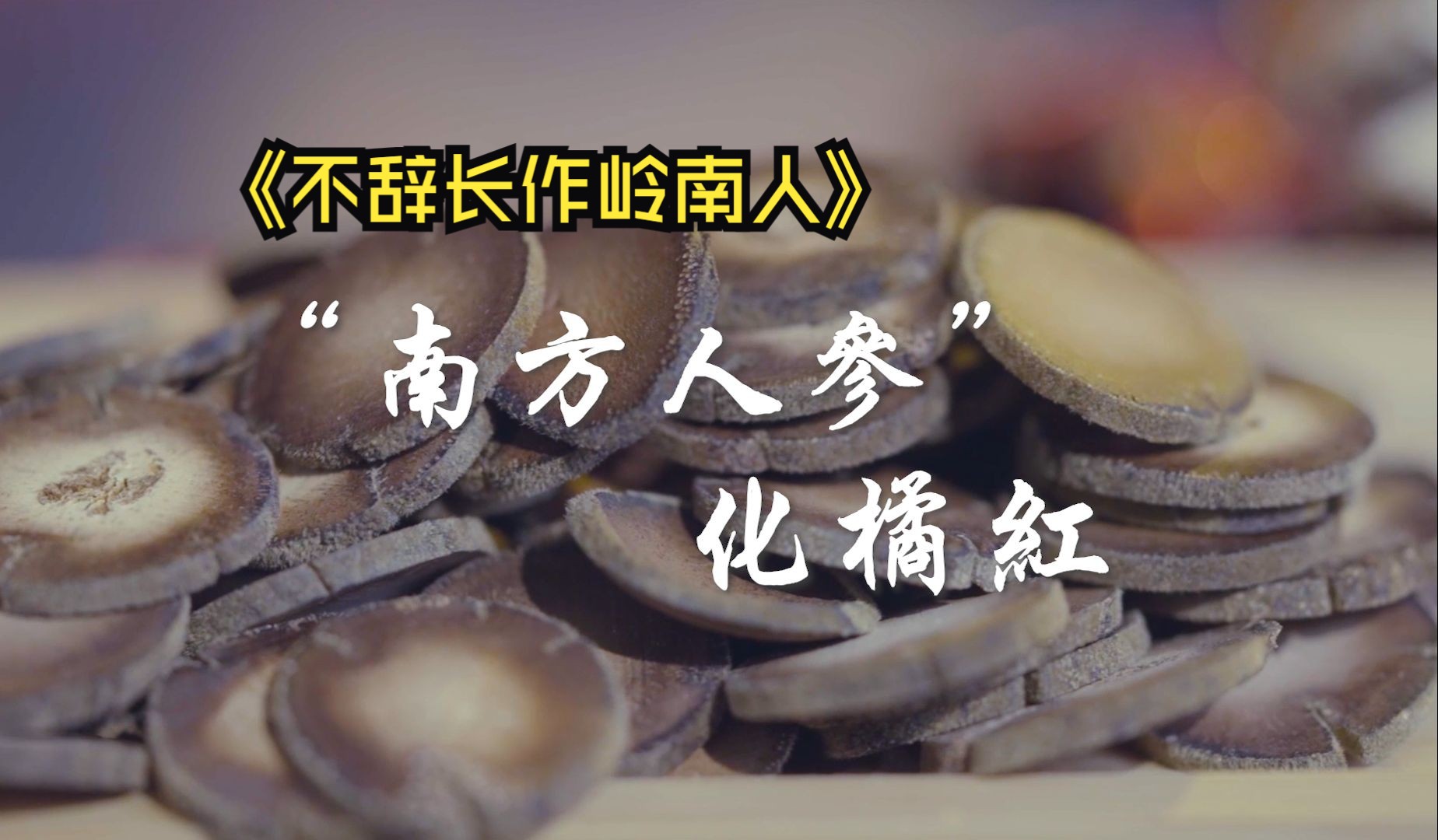 《不辞长作岭南人》 千压百锤,福泽天下——"南方人参"化橘红