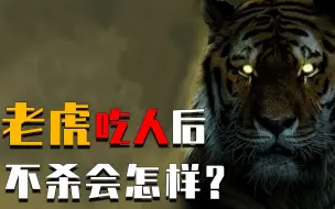 Tải video: 老虎吃人后，为啥一定要立刻杀掉？后果比我们想得还严重