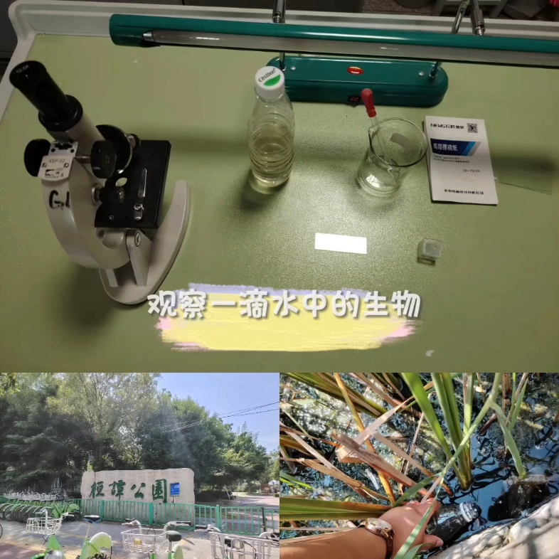 在显微镜下观察一滴水