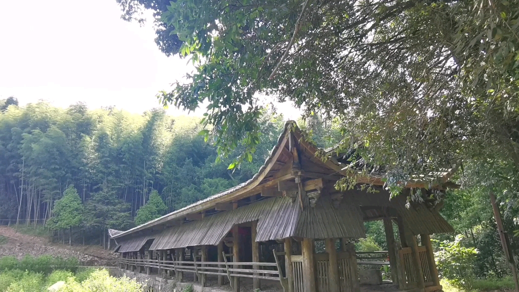 [图]少年游·参差烟树灞陵桥【宋】柳永——摄于南平宝珠村凌云桥