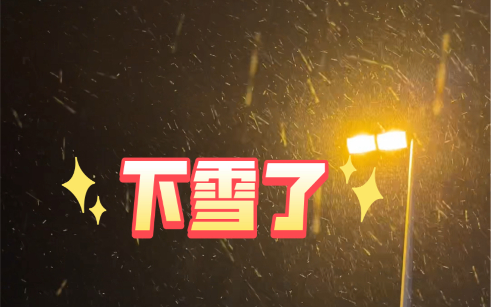 哈哈哈哈青岛终于下雪了!!!哔哩哔哩bilibili