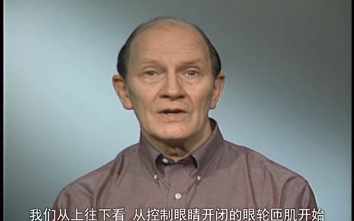 [图]5.《艾氏人体解剖》-头颈部（2）