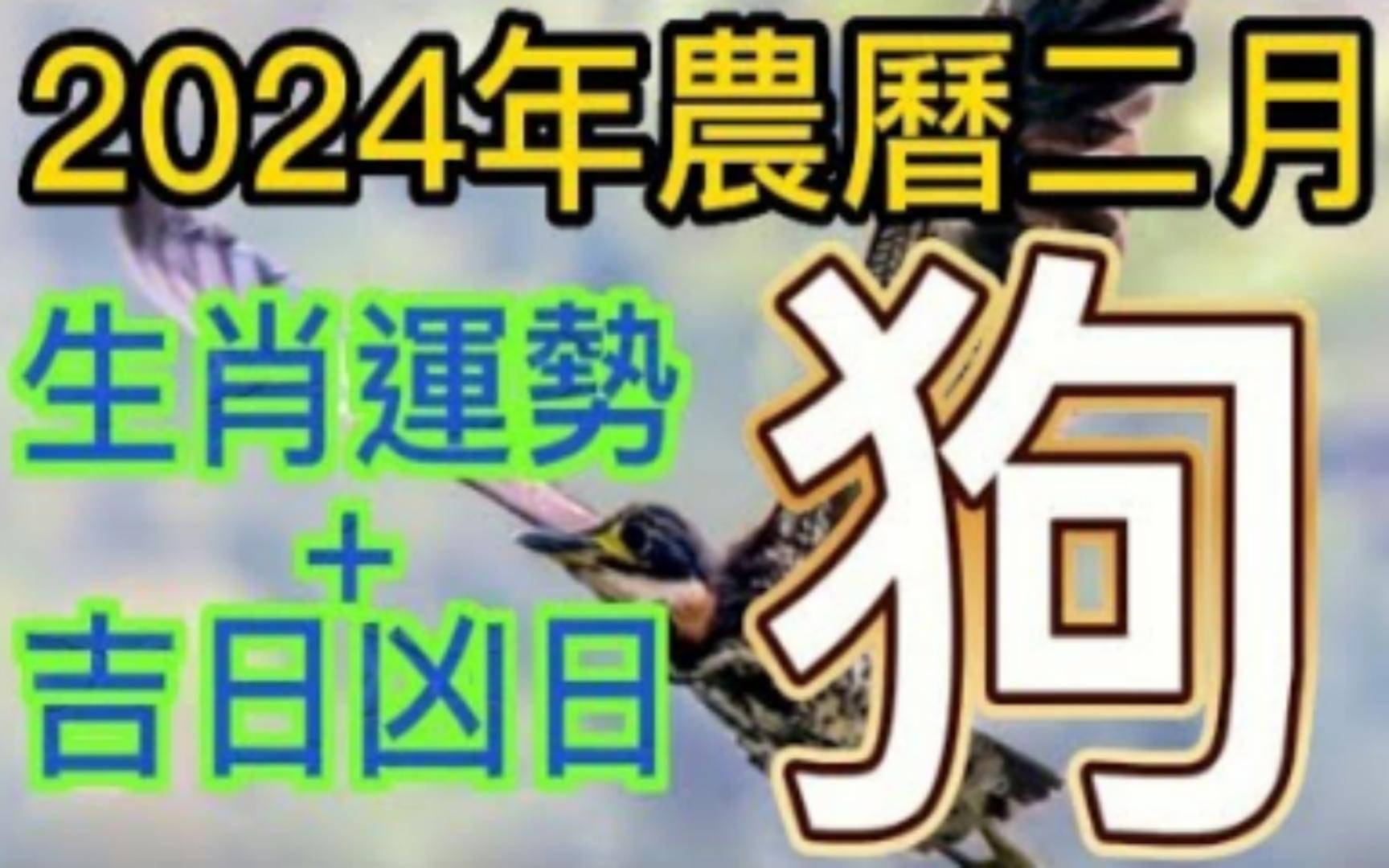 [图]【张古柏】每月运势吉日凶日2024年农历二月阳历2024年3.10~4.8生肖运势分享——狗