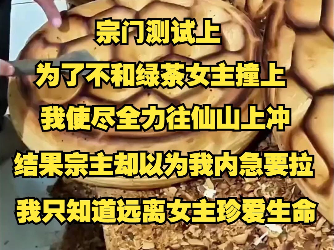 宗门测试上,为了不和绿茶女主撞上,我使尽全力往仙山上冲,结果宗主却以为我内急要拉在山上,我只知道远离女主珍爱生命哔哩哔哩bilibili