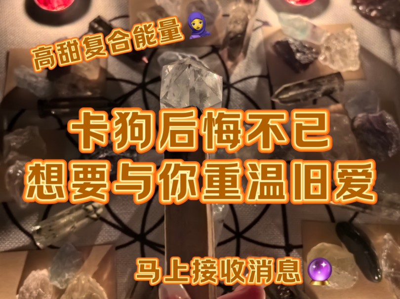 【大众能量整合】你离开后TA变失落小狗TA不停地想起你!TA迷茫TA悔不当初!想给你消息但是又害怕得不到回应哔哩哔哩bilibili