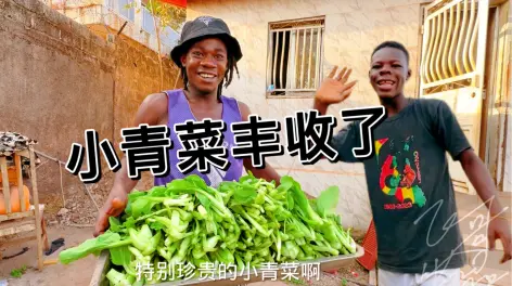 非洲飞哥的动态-哔哩哔哩