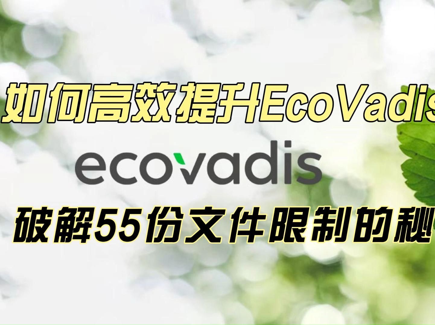 如何高效提升EcoVadis评分?破解55份文件限制的秘诀!哔哩哔哩bilibili