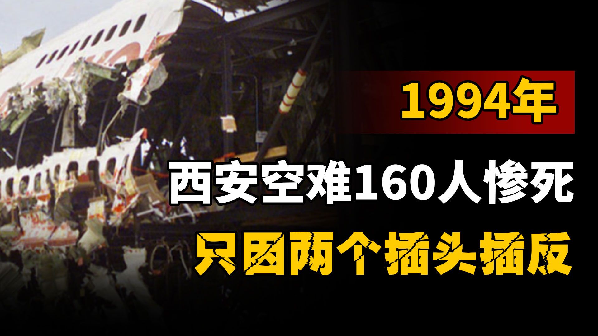 1994年西安空难纪录片图片