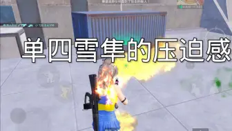 单四雪隼的压迫感！