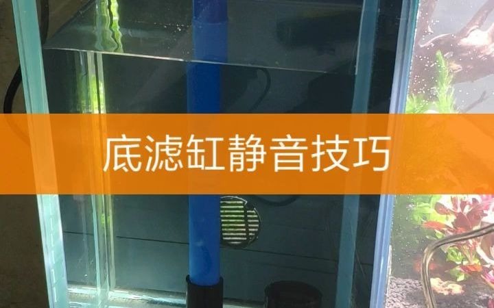 底滤缸静音技巧哔哩哔哩bilibili