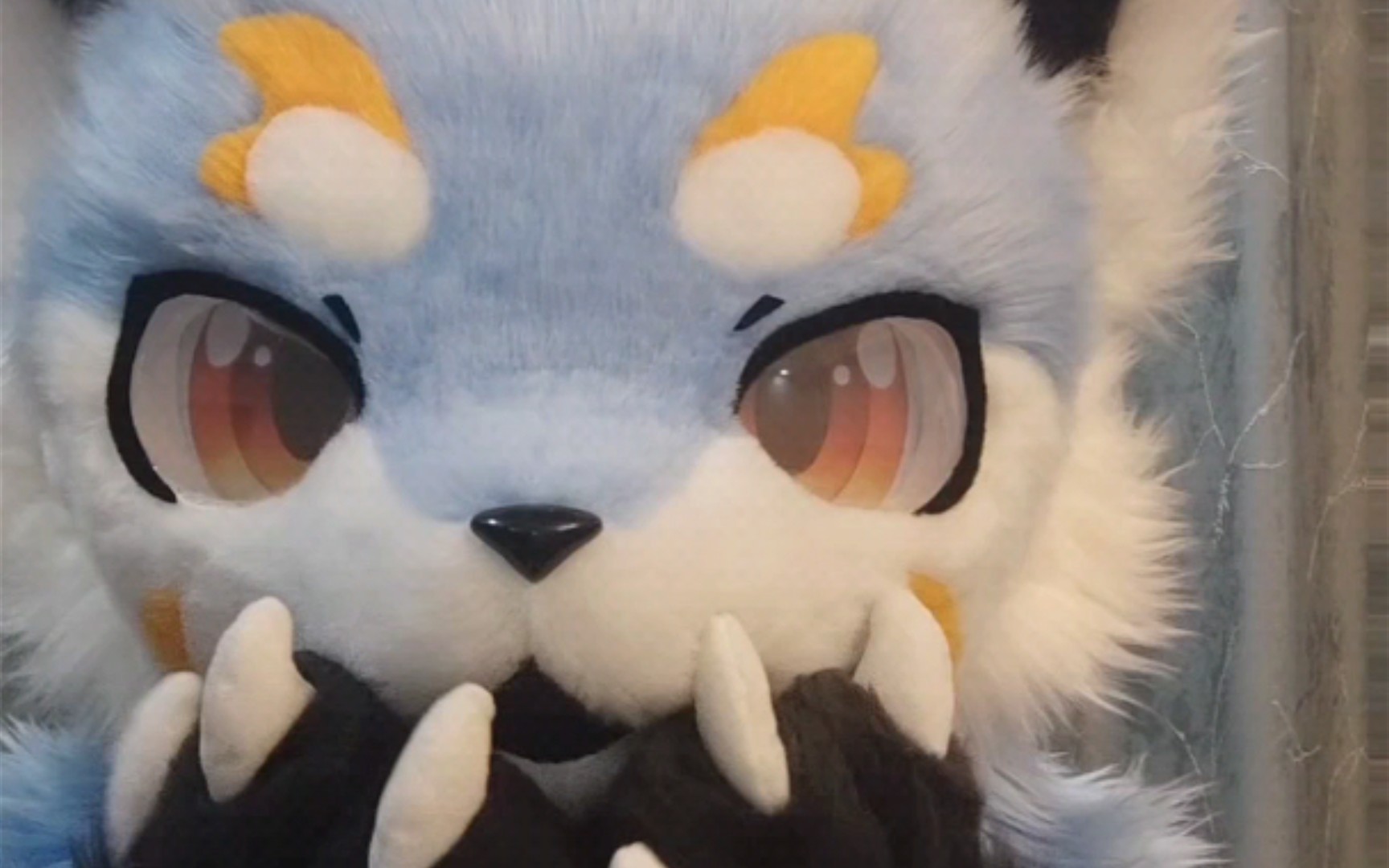 【兽装fursuit】日系小狮子掉落展示