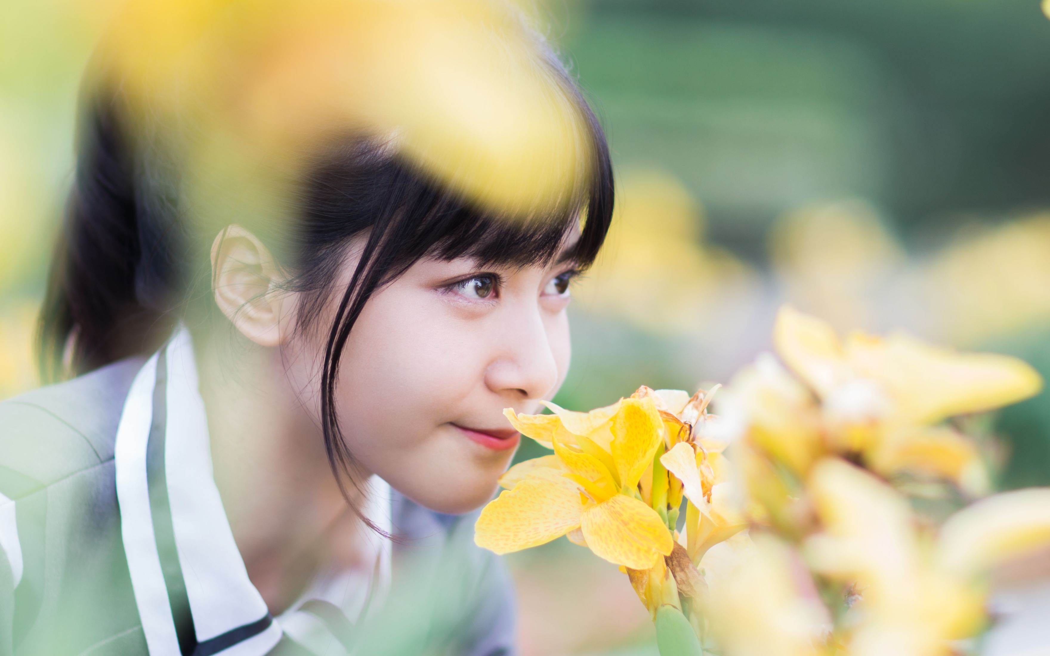 atf - 夏日的纪念 - 官方mv