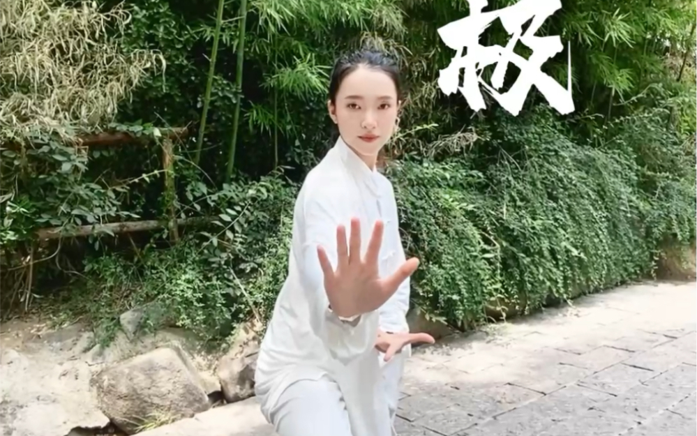 刚柔并济,开合相宜-太极传承-沅芷-太极传承-沅芷-哔哩哔哩视频