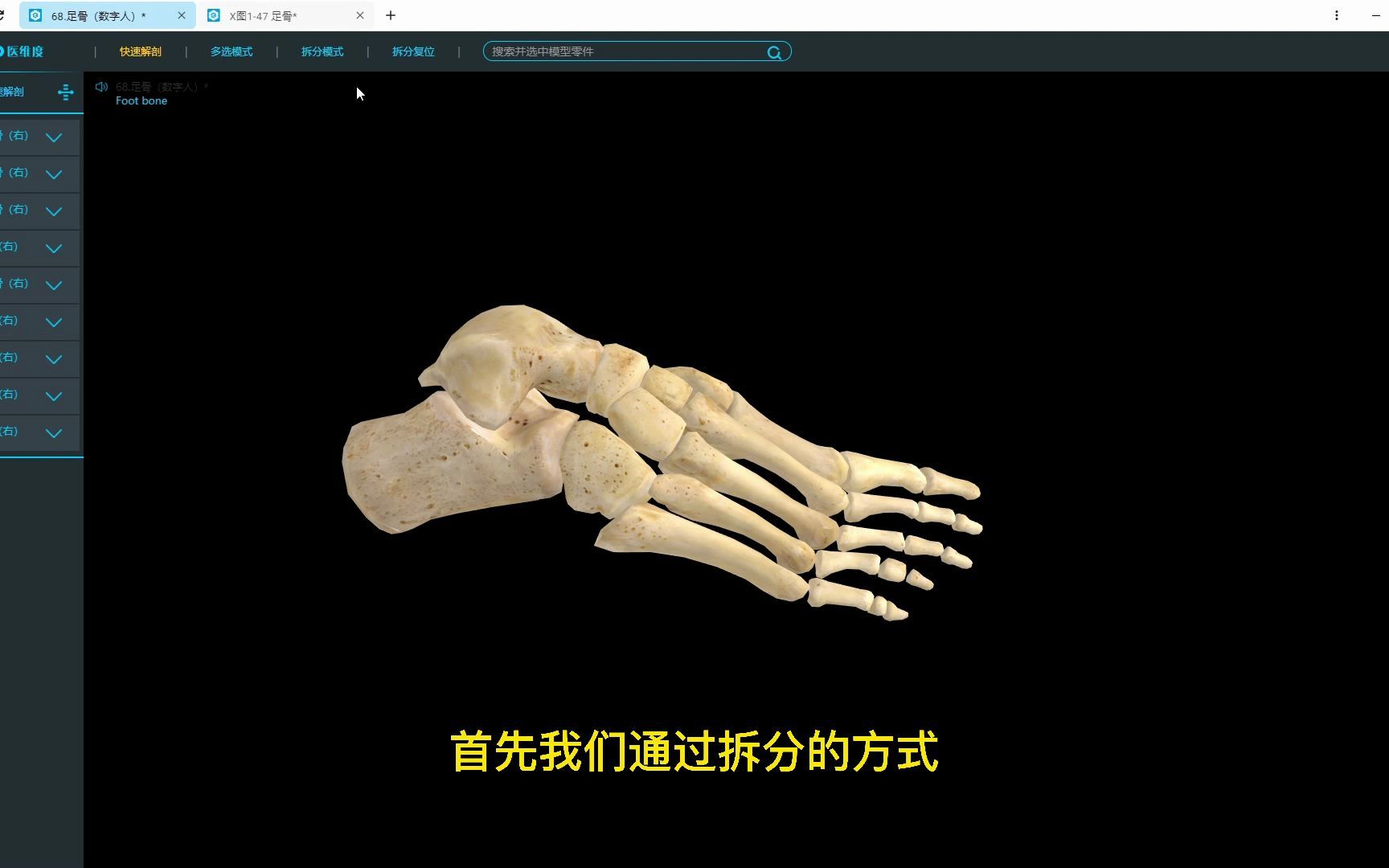 【医维度解剖app】足骨哔哩哔哩bilibili