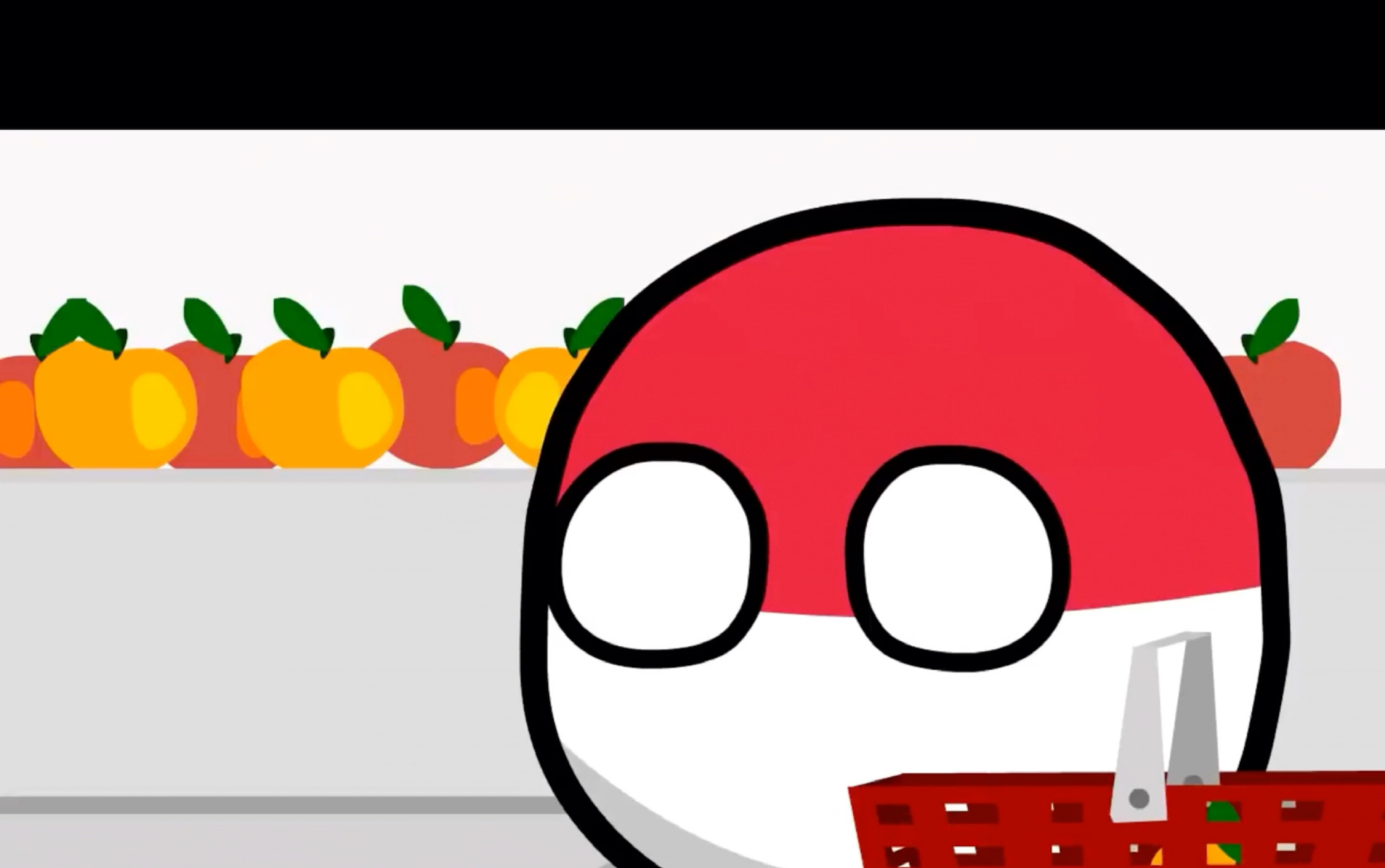 白鹅波兰球——波兰,新年与公司