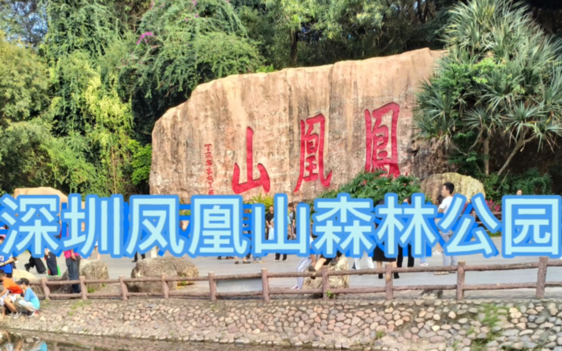 眼中的中国之深圳凤凰山森林公园