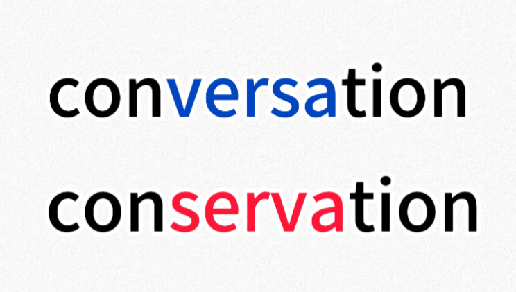 【一秒区分易混单词】conversation&conservation哔哩哔哩bilibili