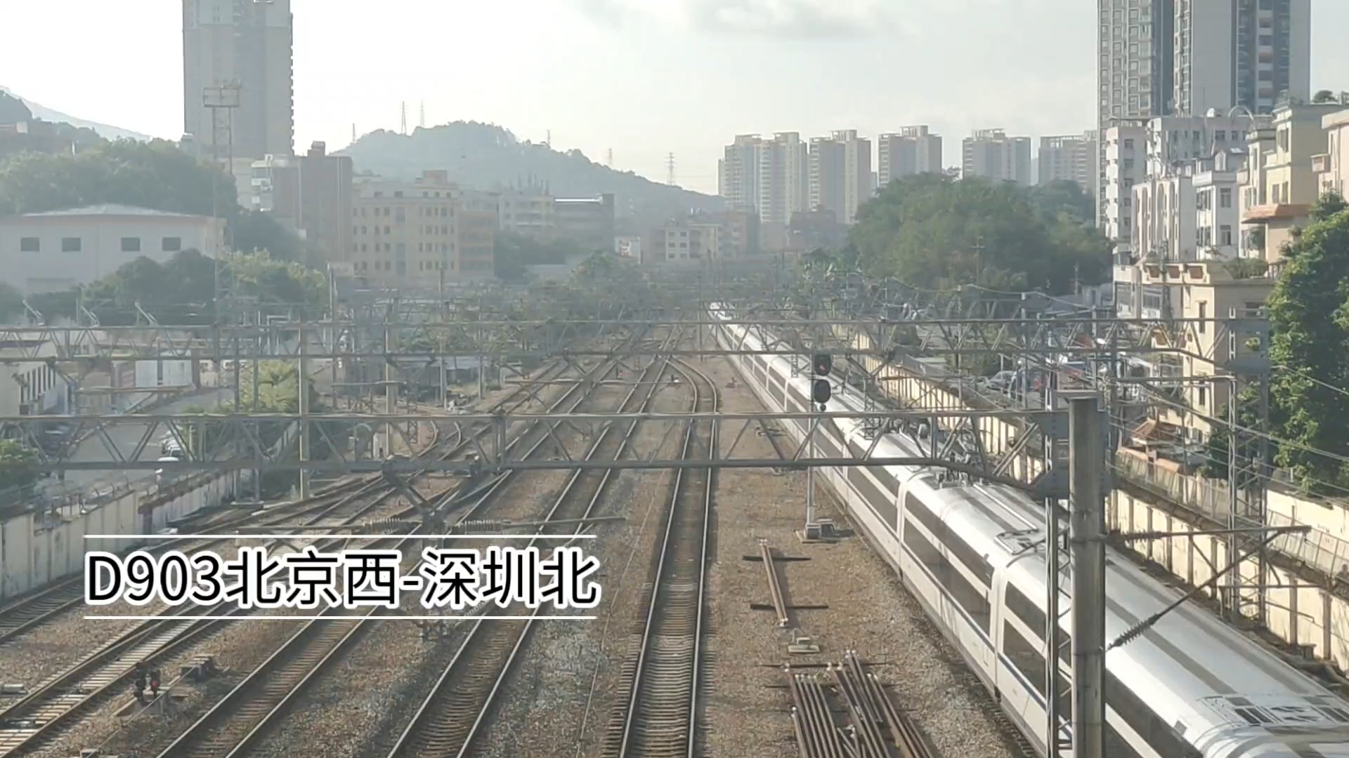 【东莞轨道交通】樟木头看动卧列车