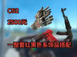 Download Video: 【CS2】2500元的一套红黑色系饰品搭配！