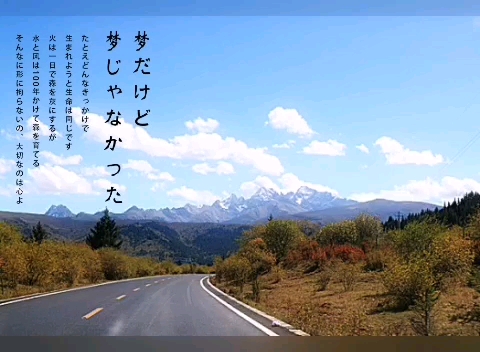 旅行风3:向远方出发第6591期