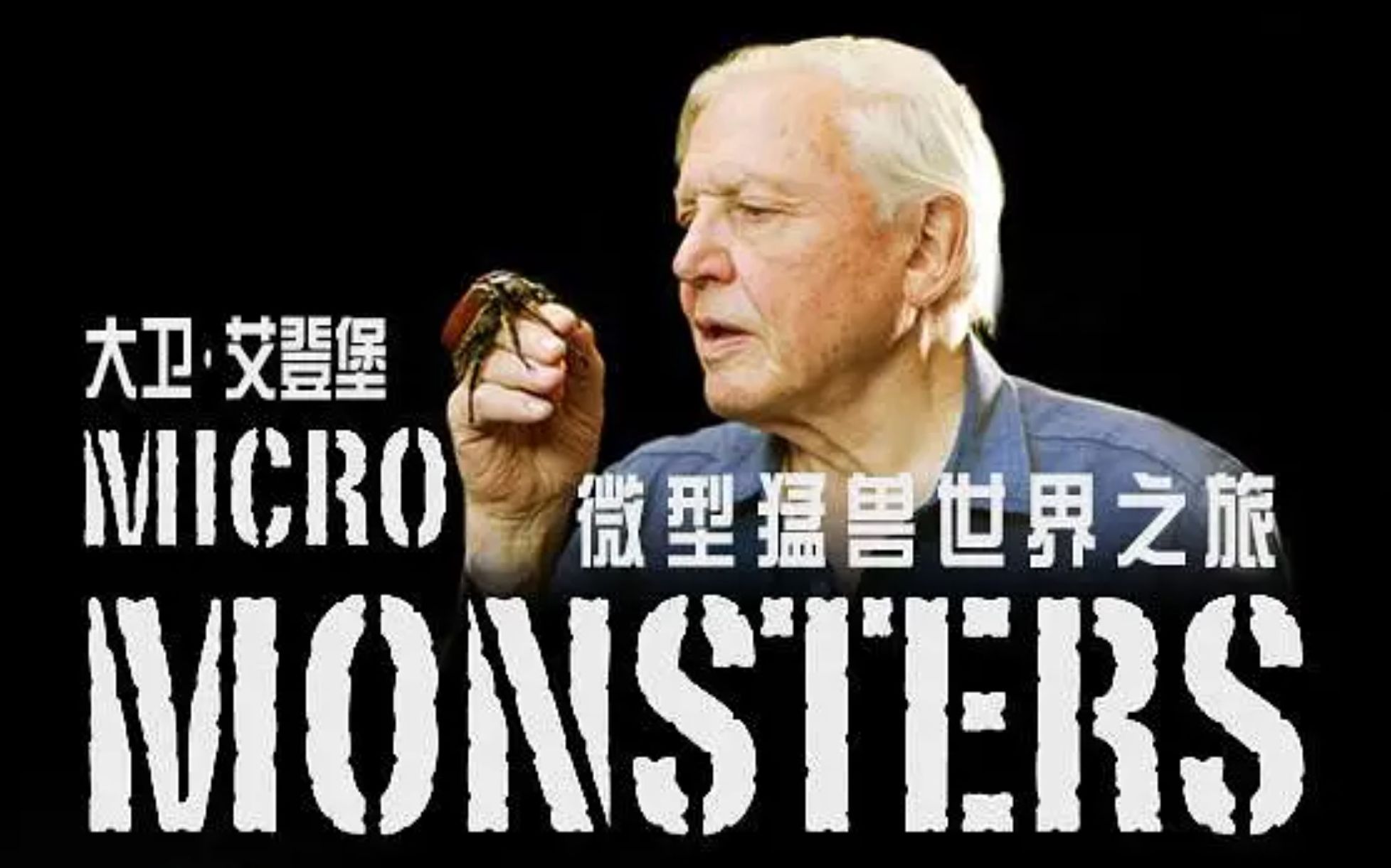 [图]【BskyB】微型猛兽世界之旅 全6集 1080P中英文双语字幕 Micro Monsters With David Attenborough