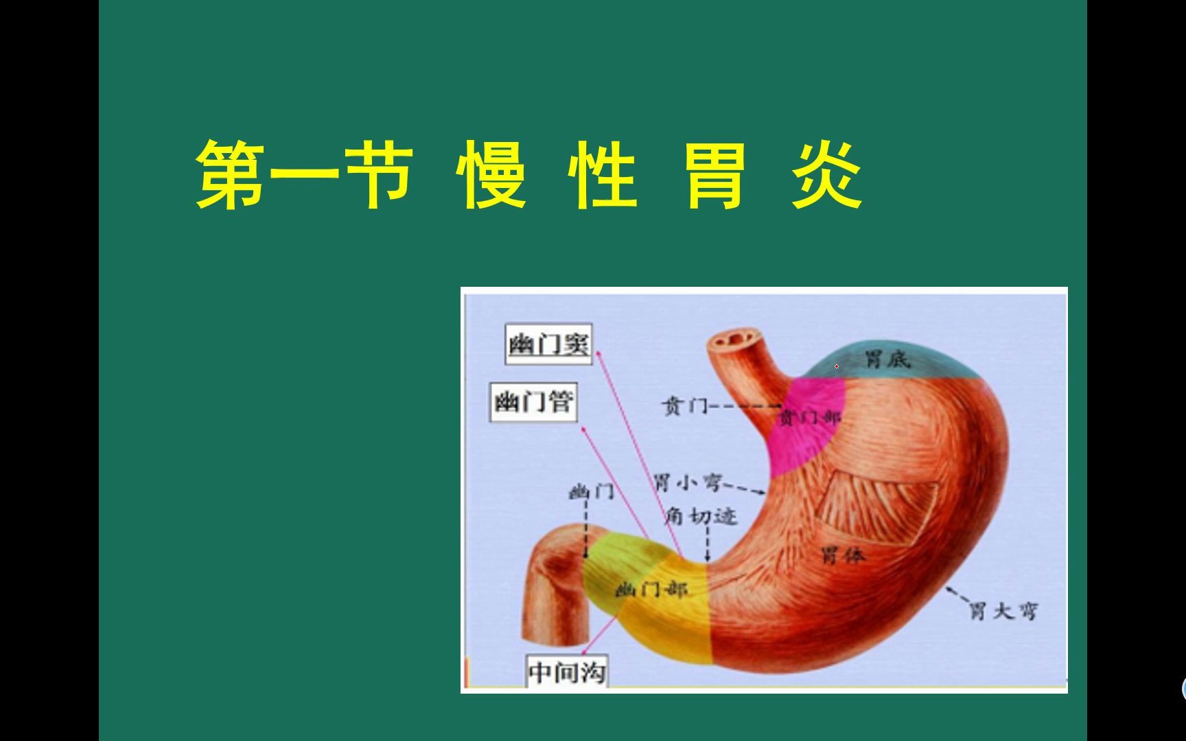 病理学 消化系统疾病1哔哩哔哩bilibili