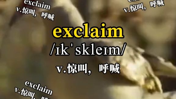 救命！小动物发出人类呐喊，情绪尖叫认准 exclaim