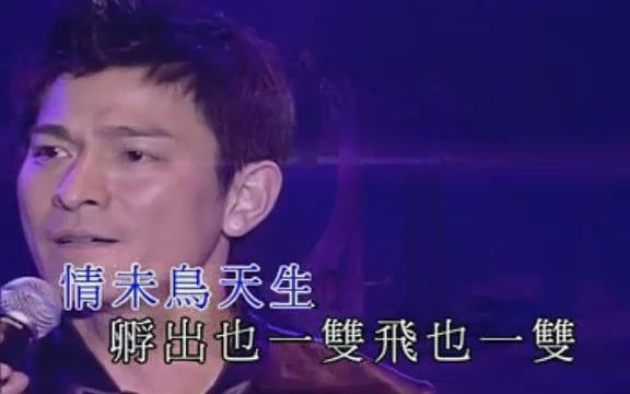 [图]刘德华2003 你是我的骄傲 演唱会B