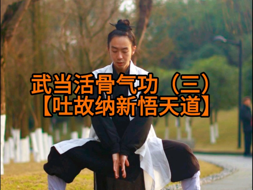 大家要的武当活骨气功第三节【吐故纳新悟天道】给奉献出来了!
