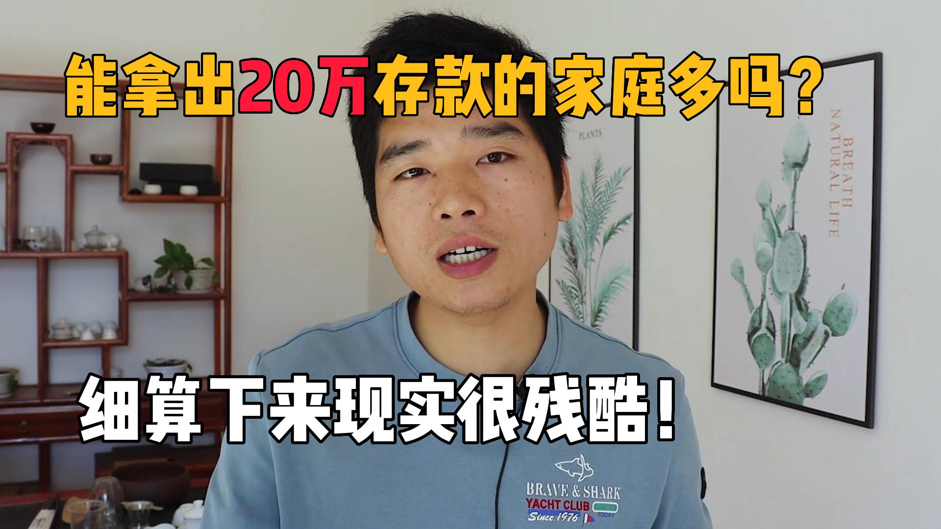 能一次性拿出20万存款的家庭多吗?细算下来现实很残酷!哔哩哔哩bilibili