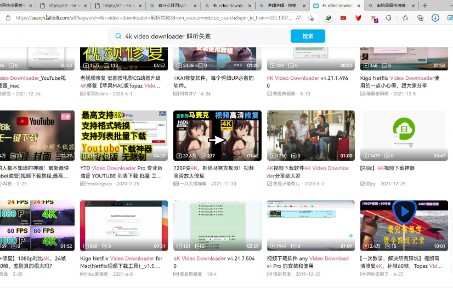 4k video downloader 解析失败怎么解决求助哔哩哔哩bilibili