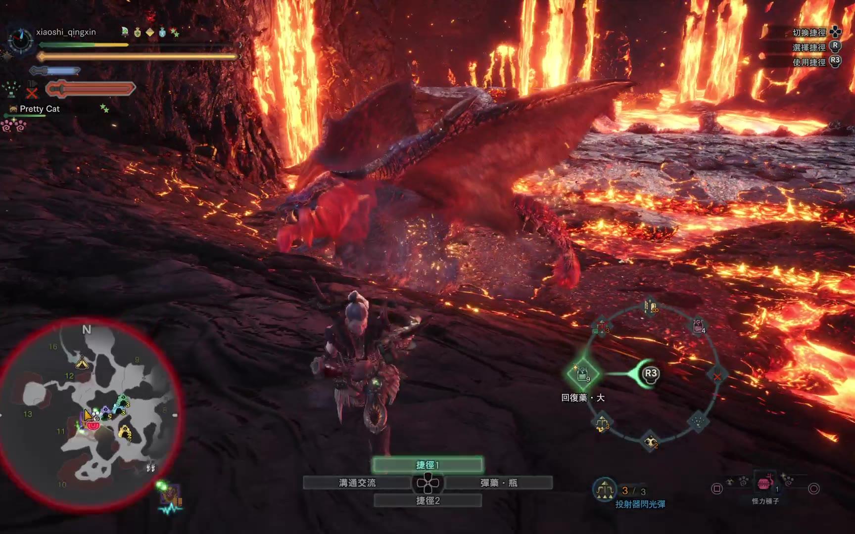 MHW 炎王龙_哔哩哔哩_bilibili