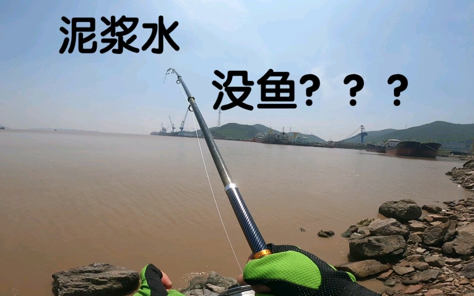 舟山内海就是这样的泥浆水,你们都不相信有鱼???哔哩哔哩bilibili