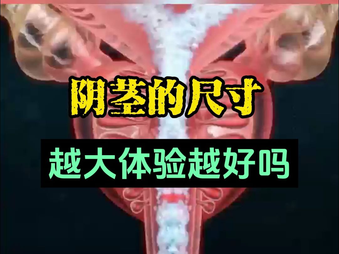 丁丁真的越大越好吗