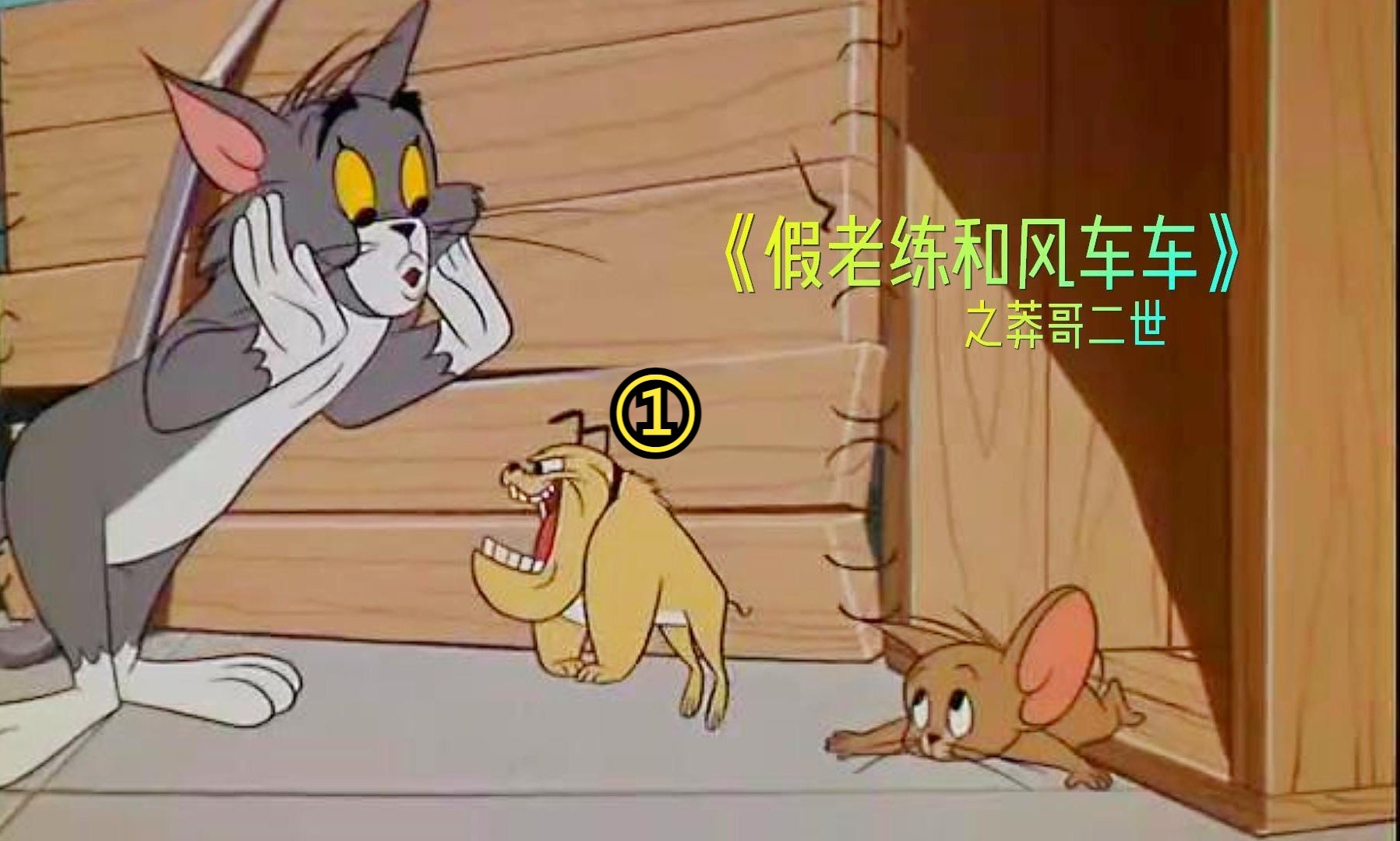 风车车受不了假老练欺负,花钱买了一只小莽哥.