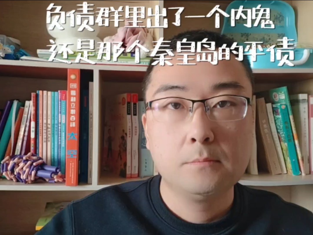 负债群里出了一个内鬼,还是那个秦皇岛的平债哔哩哔哩bilibili