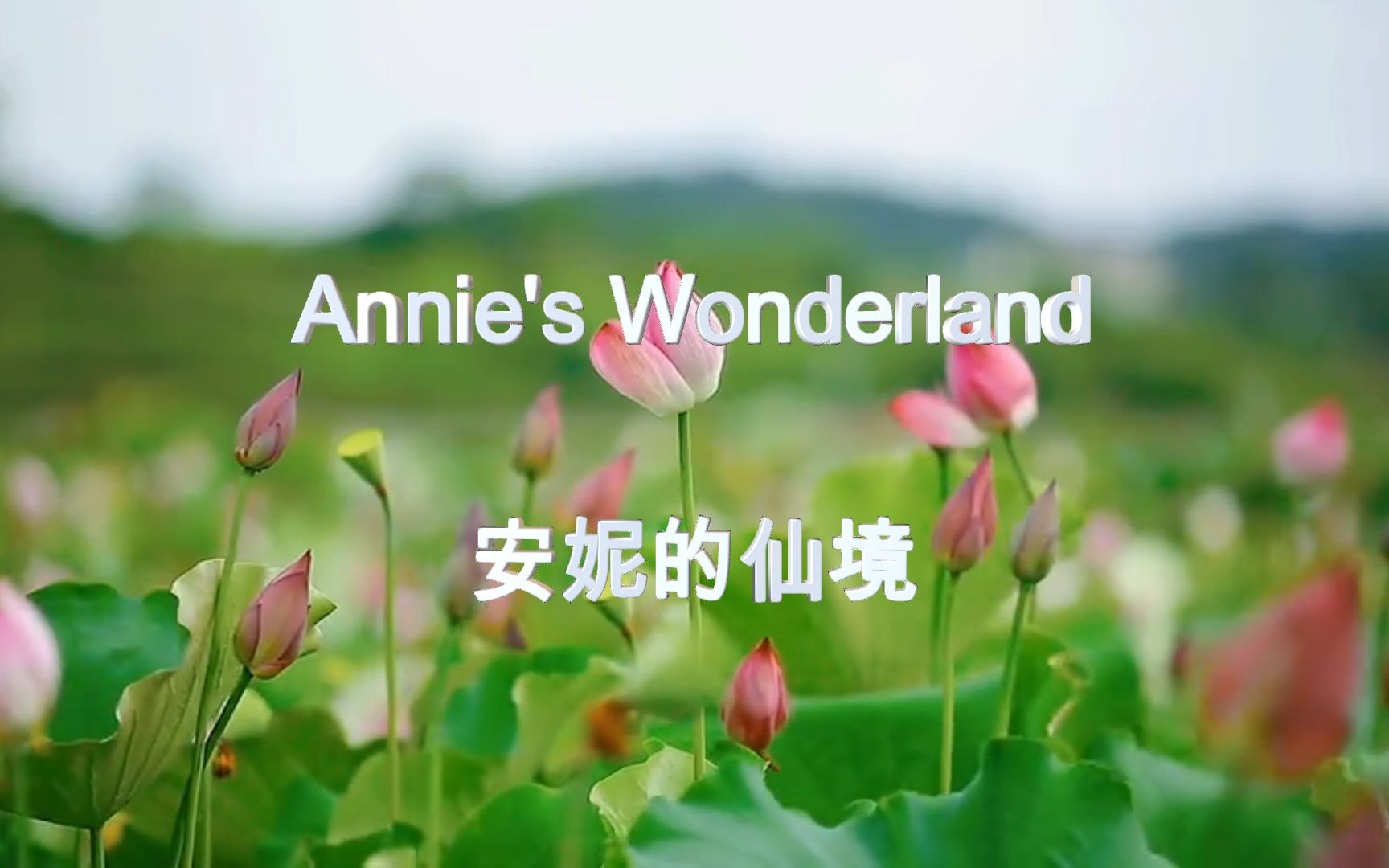 [图]《Annie's Wonderland - 安妮的仙境》纯音乐MV