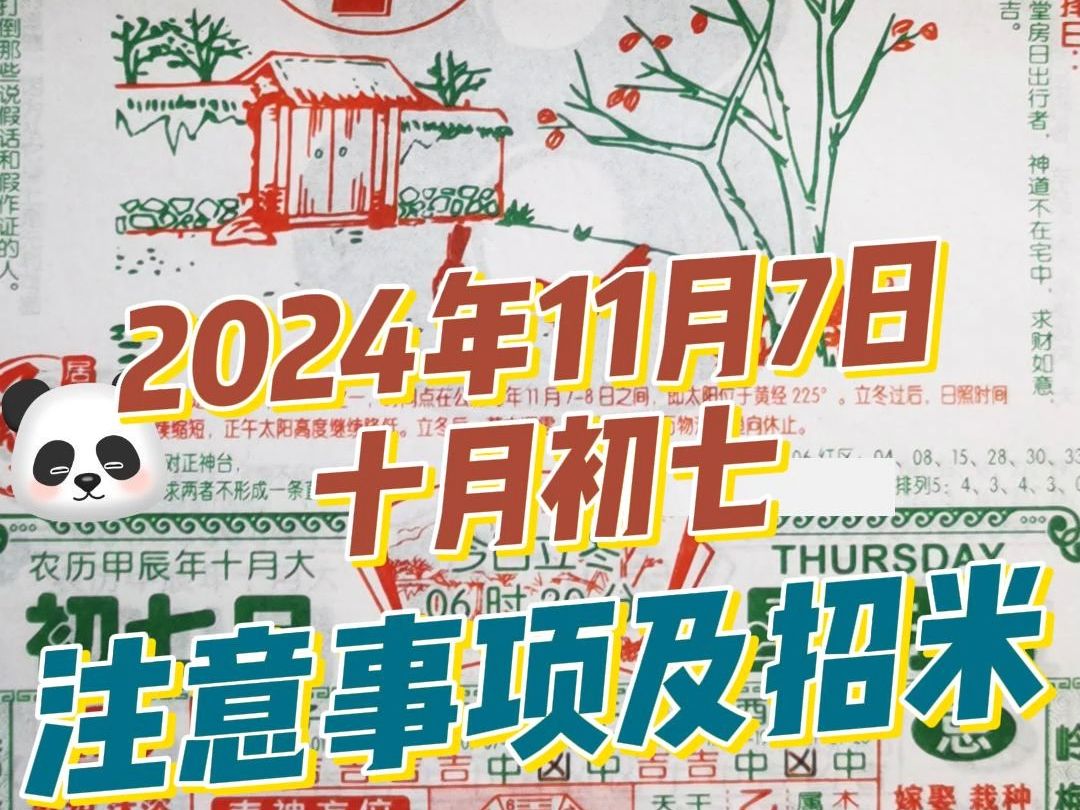 长生教你查黄历解读注意事项及每日穿搭11月7日(十月初七)哔哩哔哩bilibili