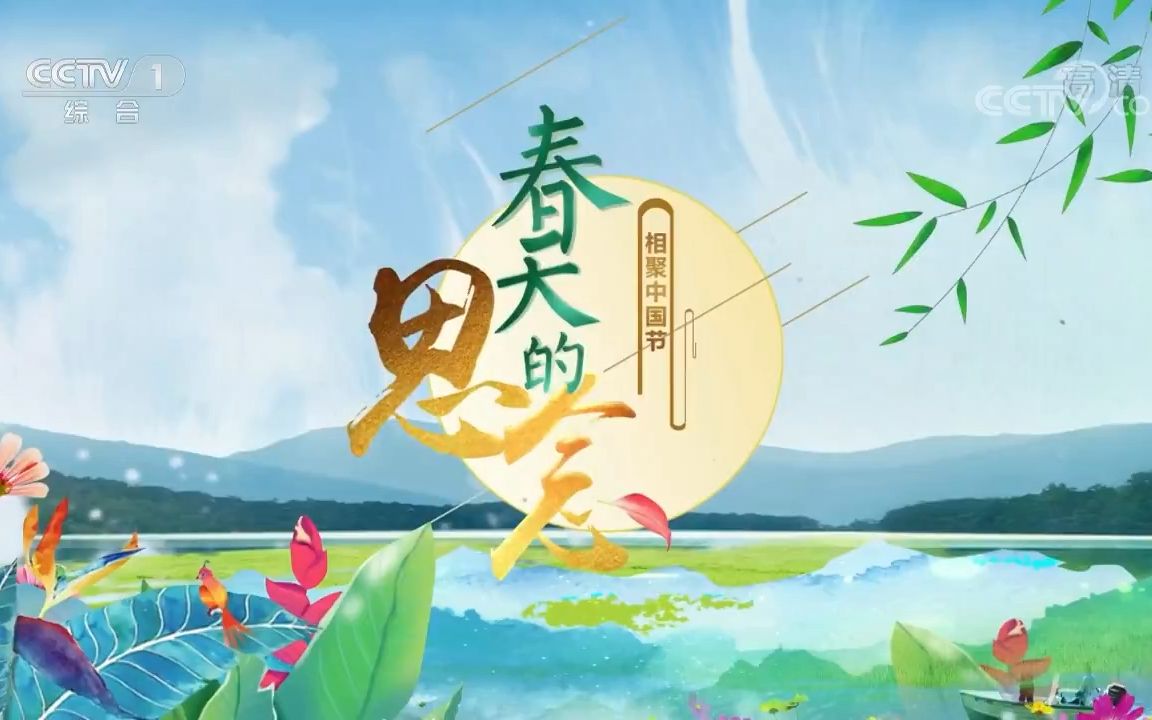 【央视】 2019 相聚中国节ⷮŠ春天的思念哔哩哔哩bilibili