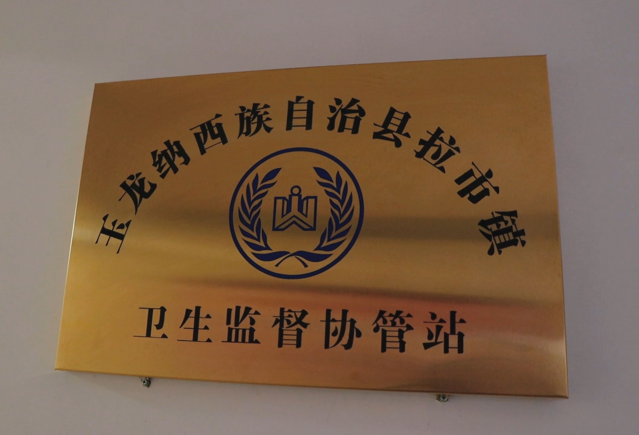 玉龙县卫生监督——拉市镇卫生监督协管记录