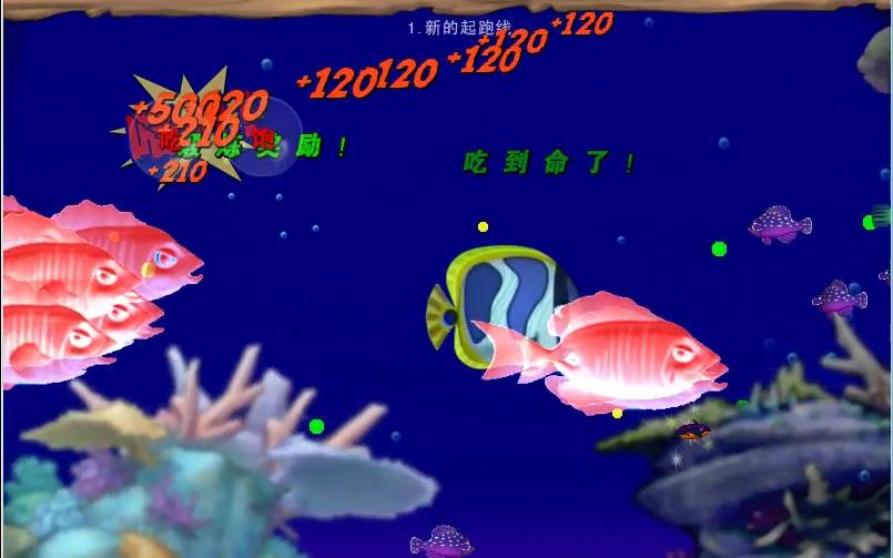 【国际版的向】吞食鱼2寻宝记第一期