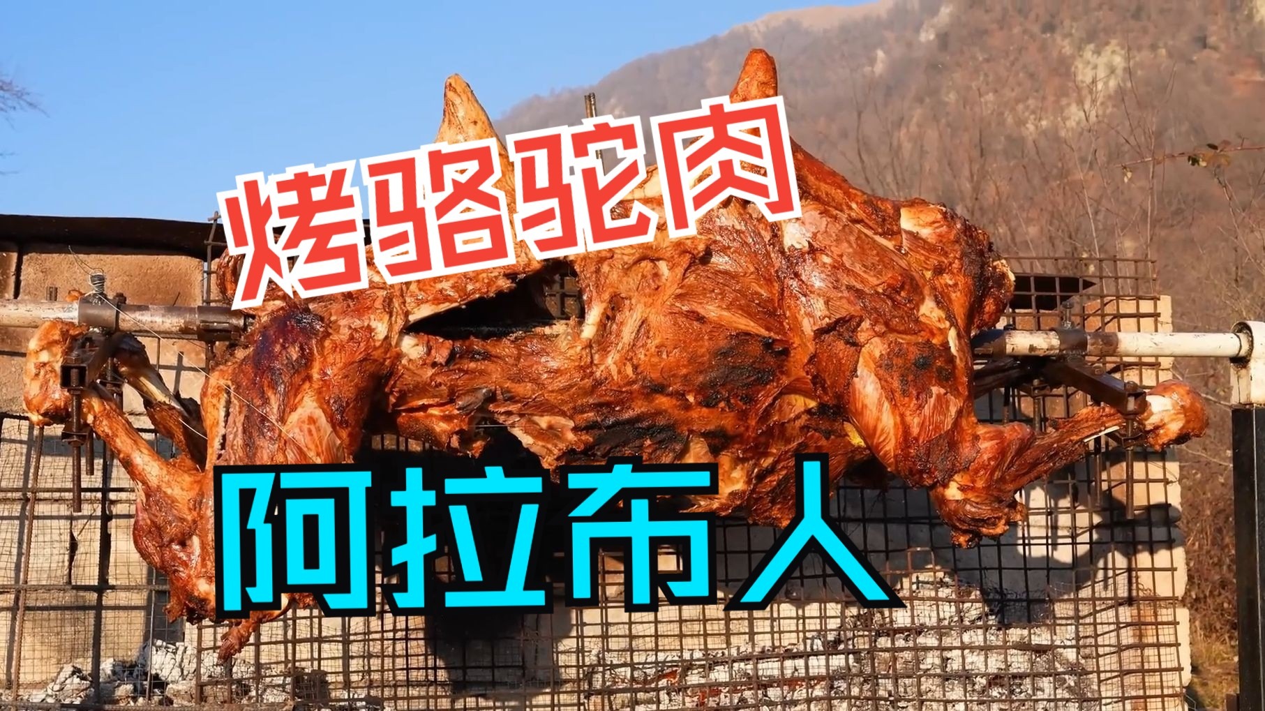 在荒野中开启一段激动人心的烹饪之旅,用独特的传统方式烹制骆驼肉