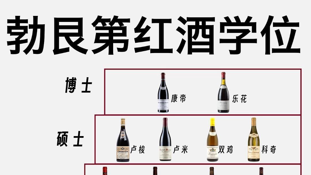 一张图看懂勃艮第红酒学位,你在哪一级?哔哩哔哩bilibili