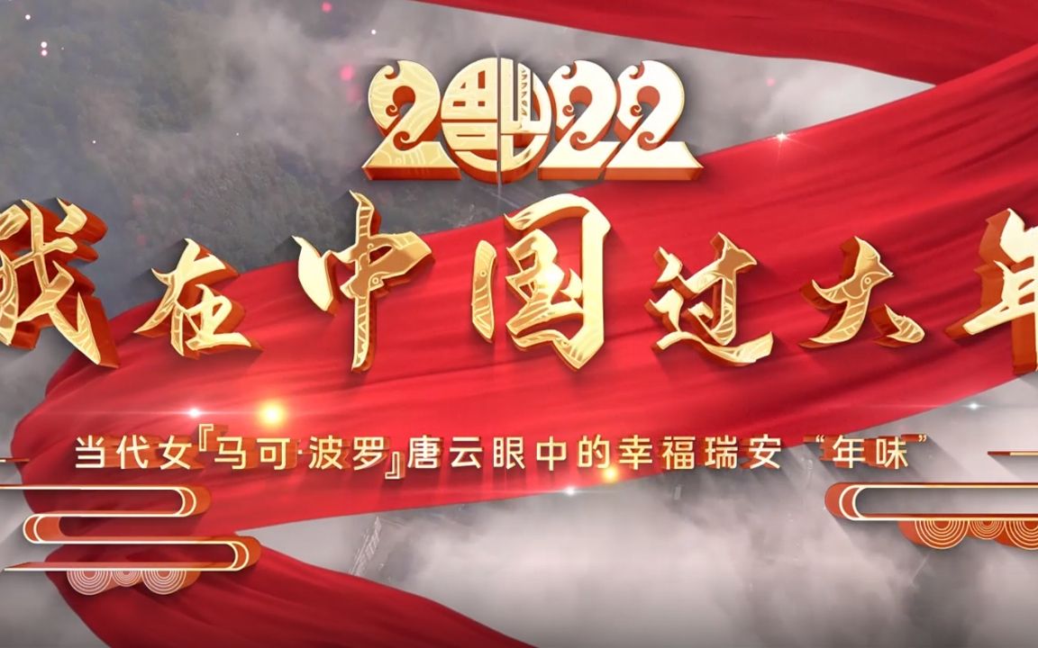 《我在中国过大年》——2022“讲好中国故事”创意传播大赛优秀作品哔哩哔哩bilibili