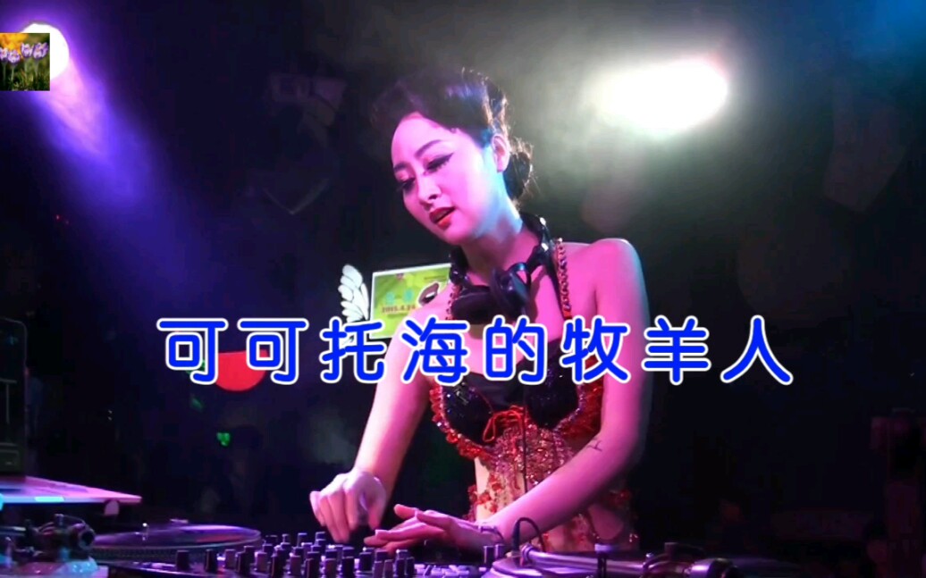 [图]车载dj,性感热舞《可可托海的牧羊人》原唱：王琪，非常好听吆！